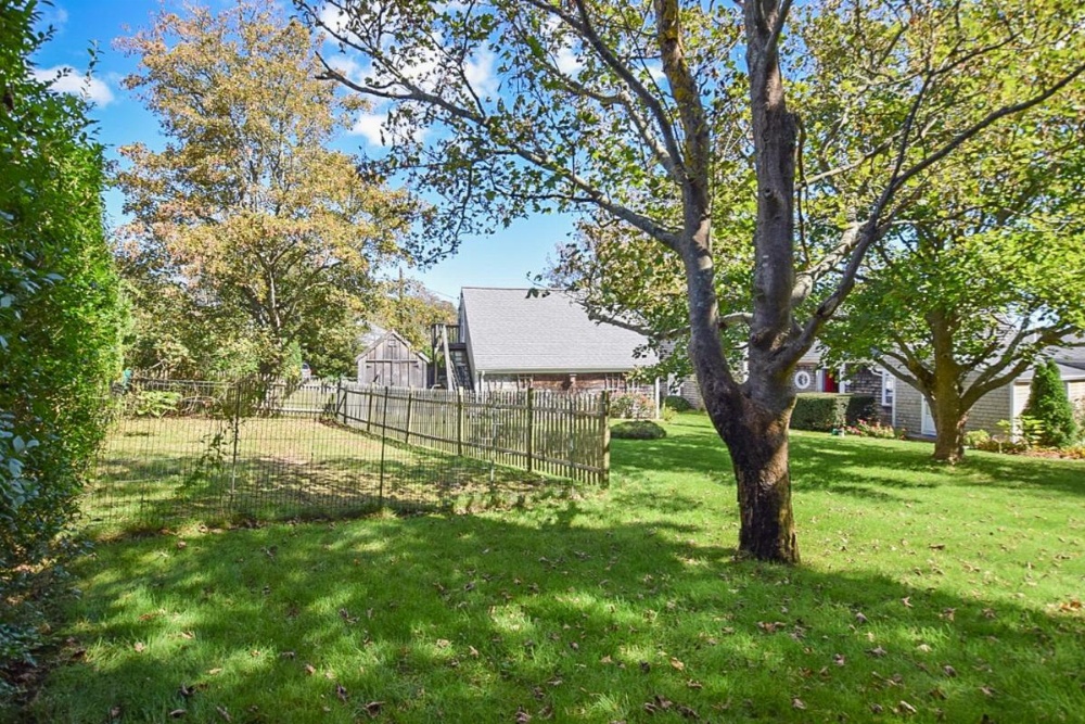 #420 - Top Sail Main image